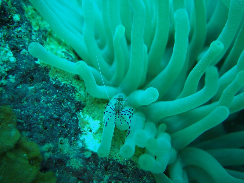 Curacao 04-12 050.JPG